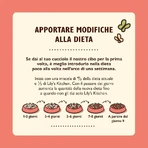 Lily's Kitchen - Receta para cachorros: pollo, salmón y guisantes - Pienso completo para perros, 7 kg