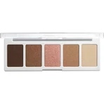 Palette d'ombres à paupières Wet n Wild Color Icon à 5 teintes, n° 4067e