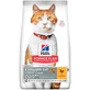 Hill's Science Plan Young Adult Sterilized Cat – sucha karma dla kotów z kurczakiem, 10 kg