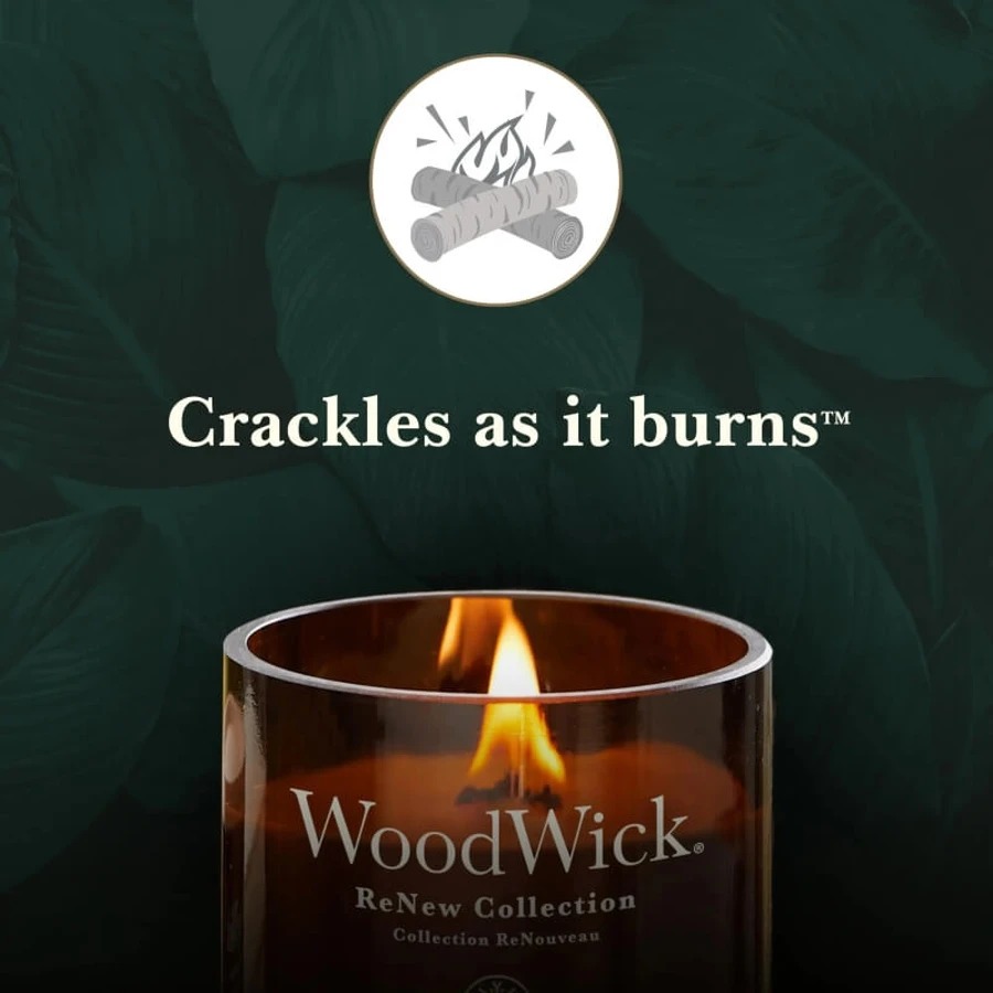 Woodwick Cassis et rose - Bougie parfumée moyenne, 181 g