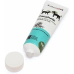 Camon Canahelp Paste – een voedingssupplement voor honden en katten, moutpasta met hennep, 100 g