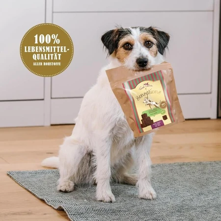 Terra Canis Sensations Training Wonders Horse – Trainingssnacks für Pferde und Hunde, 90 g