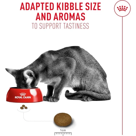Royal Canin Fussy Exigent – Alleinfuttermittel für erwachsene Katzen mit sehr wählerischem Appetit, 2 kg