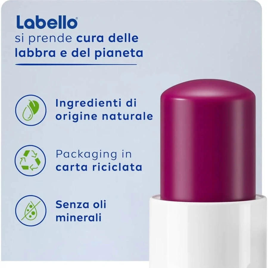 Labello Blackberry Shine - Bálsamo labial con color y aroma a mora, 5,5 ml