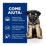 Hill’s Prescription Diet i/d – hrană uscată ușor digerabilă pentru pui, cu pui, 4 kg