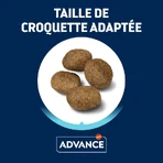 Advance Active Defense Sensitive Care Adult Lamb - Complete Food for Dogs with Digestive Sensitivity, 3 kg