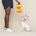Edgard &amp; cooper Adult tacchino e pollo - alimento completo per cani adulti 2,5 kg