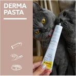 Gimborn Gimcat Derma Paste Formuła odżywcza – pasta uzupełniająca do pielęgnacji skóry i sierści kotów, 50 g: ceny i cechy