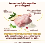 Almo Nature HFC Our Best Pollo – hrană completă pentru pisici adulte sterilizate, 300 g