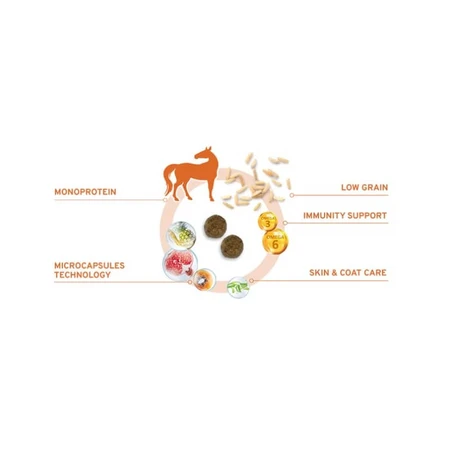 Forza10 Forza 10 Medium Diet met paardvlees en erwten – Volledig dieetvoeding voor honden, 12 kg