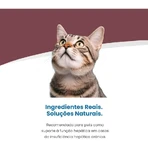 Farmina Vet Life Hepatic - Alimento dietético completo para gatos con insuficiencia hepática, 85 g
