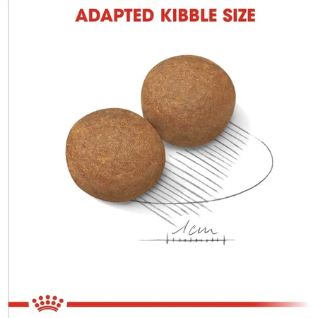 Royal Canin Maxi Adult - Compleet voer voor grote volwassen honden, 12 kg