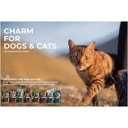 Charm Noord-Atlantische vis - Compleet kattenvoer voor alle levensfasen, 5,4 kg