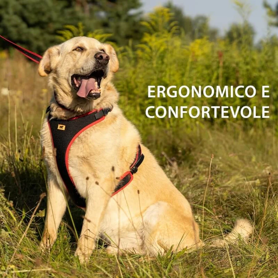 Ferplast Ergocomfort P Medium Red – ergonomiczna uprząż z możliwością precyzyjnej regulacji: ceny i cechy