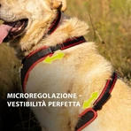 Ferplast Ergocomfort P Medium Red – ergonomiczna uprząż z możliwością precyzyjnej regulacji: ceny i cechy