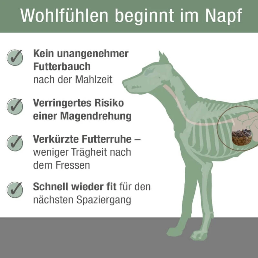 Platinum Vetactive Sensitive Kalkoen Hondenvoer - Compleet voer voor honden met een gevoelige maag-darm, 5 kg