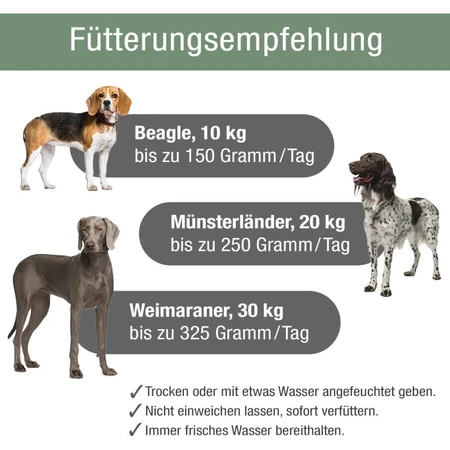 Platinum Vetactive Sensitive Kalkoen Hondenvoer - Compleet voer voor honden met een gevoelige maag-darm, 5 kg