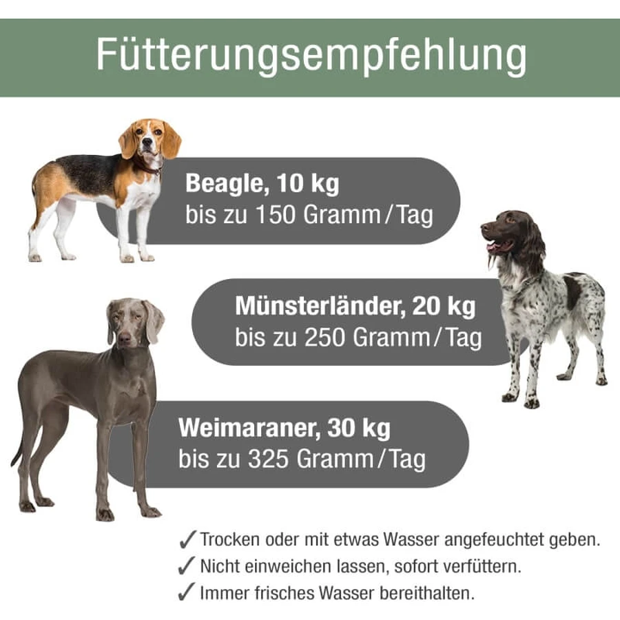 Platinum Vetactive Sensitive Kalkoen Hondenvoer - Compleet voer voor honden met een gevoelige maag-darm, 5 kg