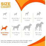 Nylabone Puppy Teething Keys - Kauwspeeltjes voor puppy's tijdens het tandjes krijgen, met baconsmaak, medium