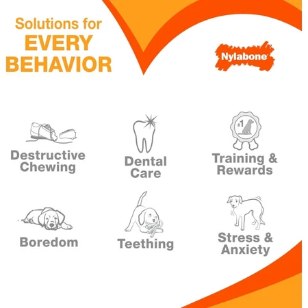 Nylabone Puppy Teething Keys - Kauwspeeltjes voor puppy's tijdens het tandjes krijgen, met baconsmaak, medium