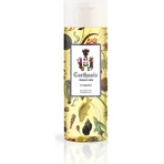 Carthusia a'mmare – olejek pod prysznic 200 ml: ceny i cechy