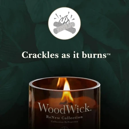 Woodwick Tomato Leaf &amp; Basil – duża świeca zapachowa, 368 g: ceny i cechy