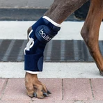 Balto Hock – orteza na staw skokowy ze sztywnymi, regulowanymi szynami, rozmiar XXS (2–5 kg): ceny i cechy