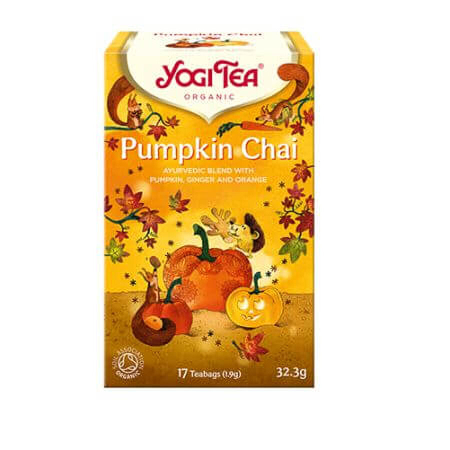 Organic Tea Autumn Tastes Pumpkin Chai, 17 sachets/32.3 g, Yogi Tea