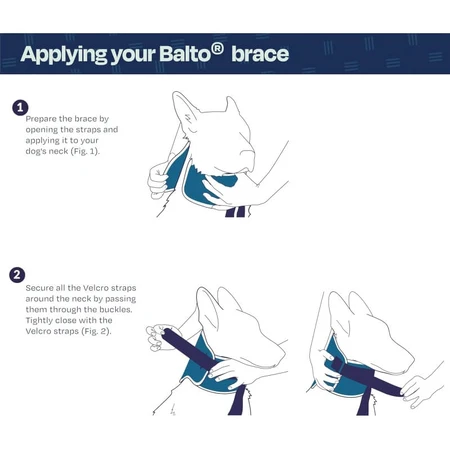 Balto Neck - Stijve orthopedische beschermkraag voor herstel, maat XL