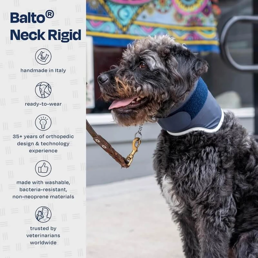Balto Neck - Stijve orthopedische beschermkraag voor herstel, maat XL
