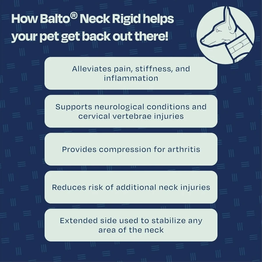 Balto Neck - Stijve orthopedische beschermkraag voor herstel, maat XL