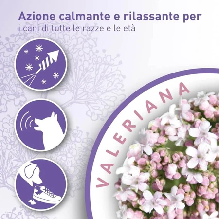 Beaphar No Stress Spot-On for Dogs: Calming, Anti-Stress Formula with Valerian, Long-Lasting Effect, 3 Pipettes