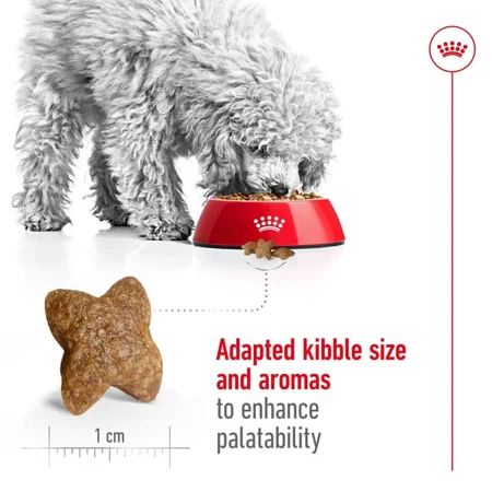 Royal Canin Mini Adult - Droogvoer voor volwassen honden van het mini-formaat, 2 kg