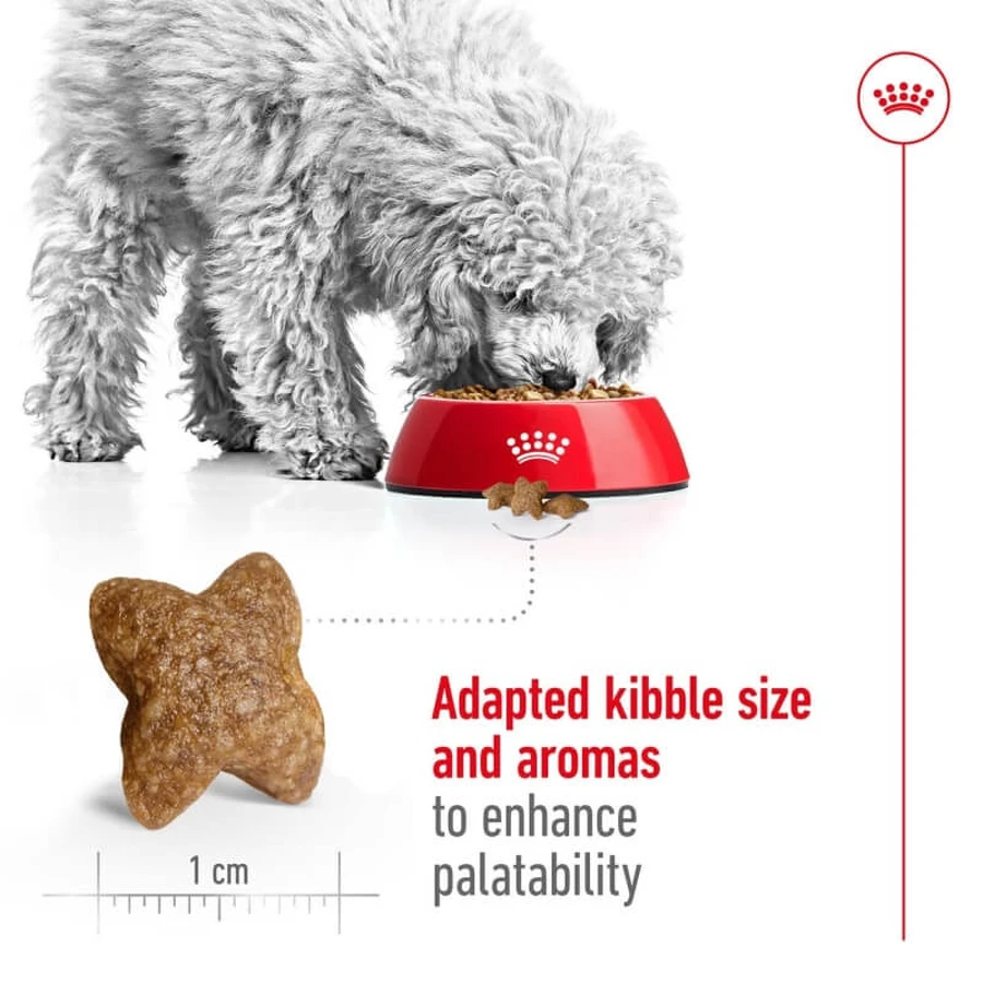 Royal Canin Mini Adult - Droogvoer voor volwassen honden van het mini-formaat, 2 kg