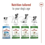 Royal Canin Mini Adult - Droogvoer voor volwassen honden van het mini-formaat, 2 kg