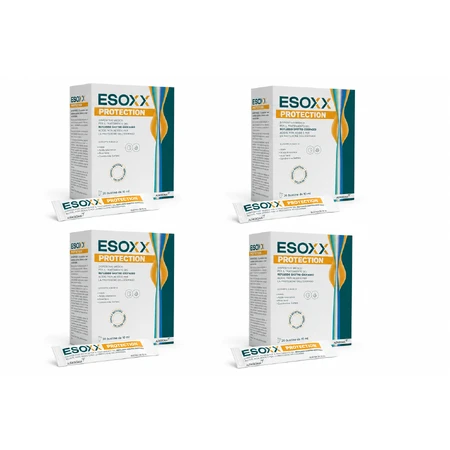 Gerdoff Esoxx Protection, 4 x 20 Sofar-Packungen
