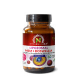 MSM liposomiale + Boswellia + Glucosamina + Silicio organico, 60 capsule, Hypernatura