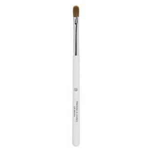 Eye Care Lip Brush