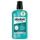 Alodont Care Daily Freshness Mondwater 500 ml