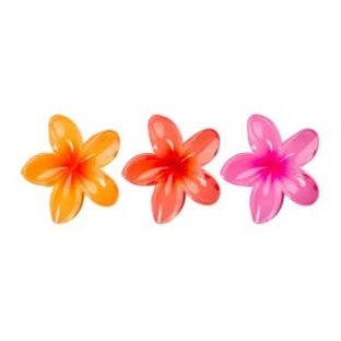 Brushworks 3 - Fermagli a forma di granchio con fiori tropicali