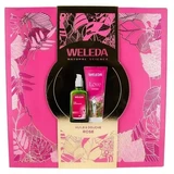 Weleda Hagebutten-Harmonisierendes Öl 100 ml + Love Duschcreme 200 ml