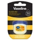 Vaseline Queen Bee Lip Balm 7 g