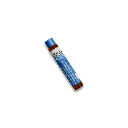 CollaMouv Original Kollagen-Drinkshot 14x25 ml, BHW Bayerische Heilmittel