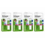Echinacin Madaus Lip Balm 4x4.8 g