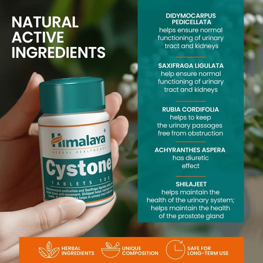 Cystone, 2 x 100 tabletten, Himalaya