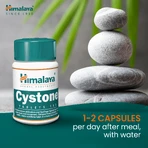 Cystone, 2 x 100 tabletten, Himalaya