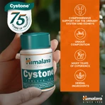 Cystone, 2 x 100 tabletten, Himalaya