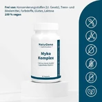 Myko-Complex Reishi + Maitake + vitamine C-capsules, 60 capsules