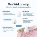 Acetocaustin Nail Fungus Solution for Treating Nail Fungus, 5 ml solution