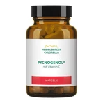 Pycnogenol Capsules, 14 g Capsules